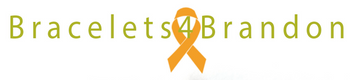 Donate 4 Brandon